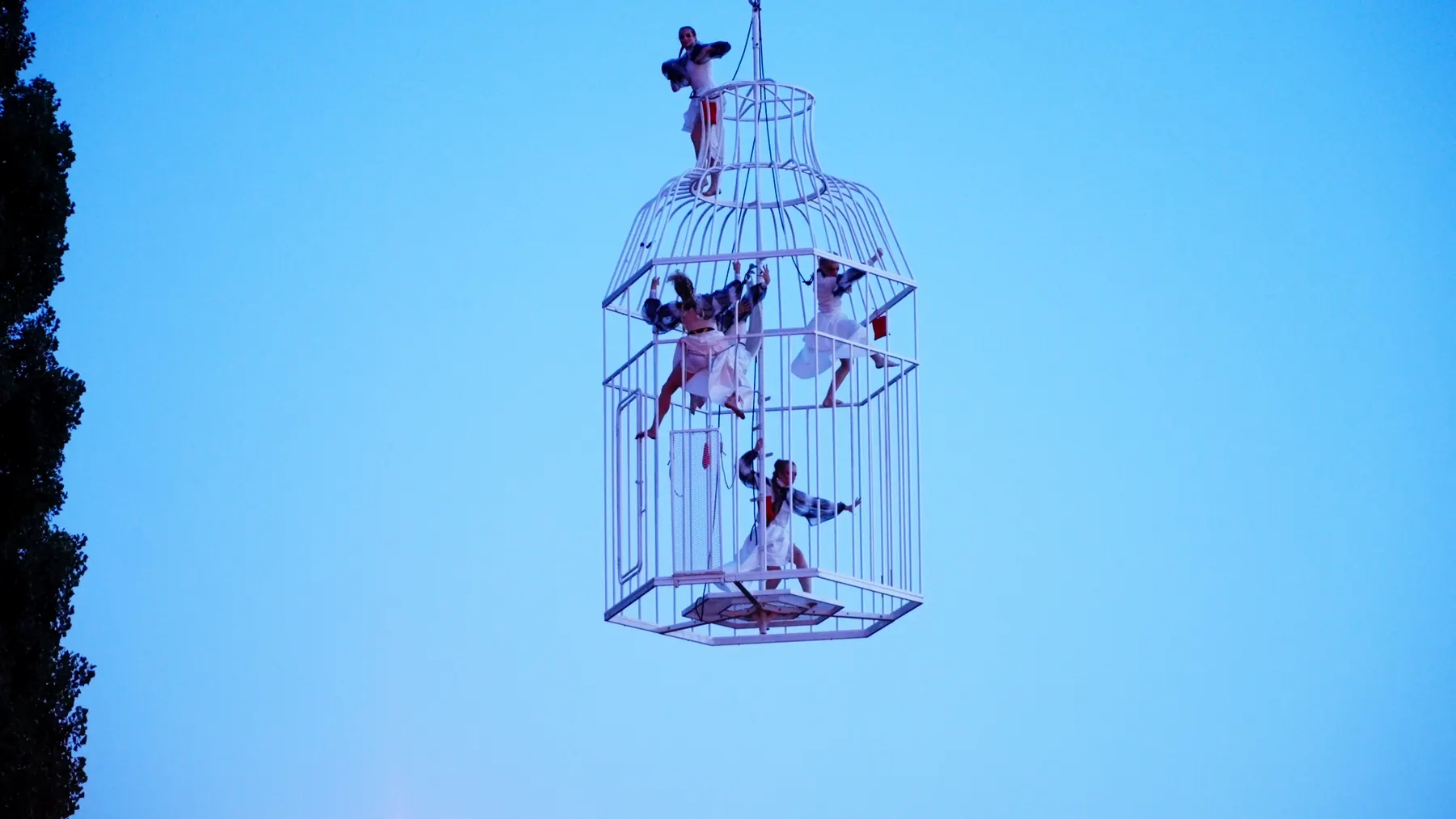 Cages