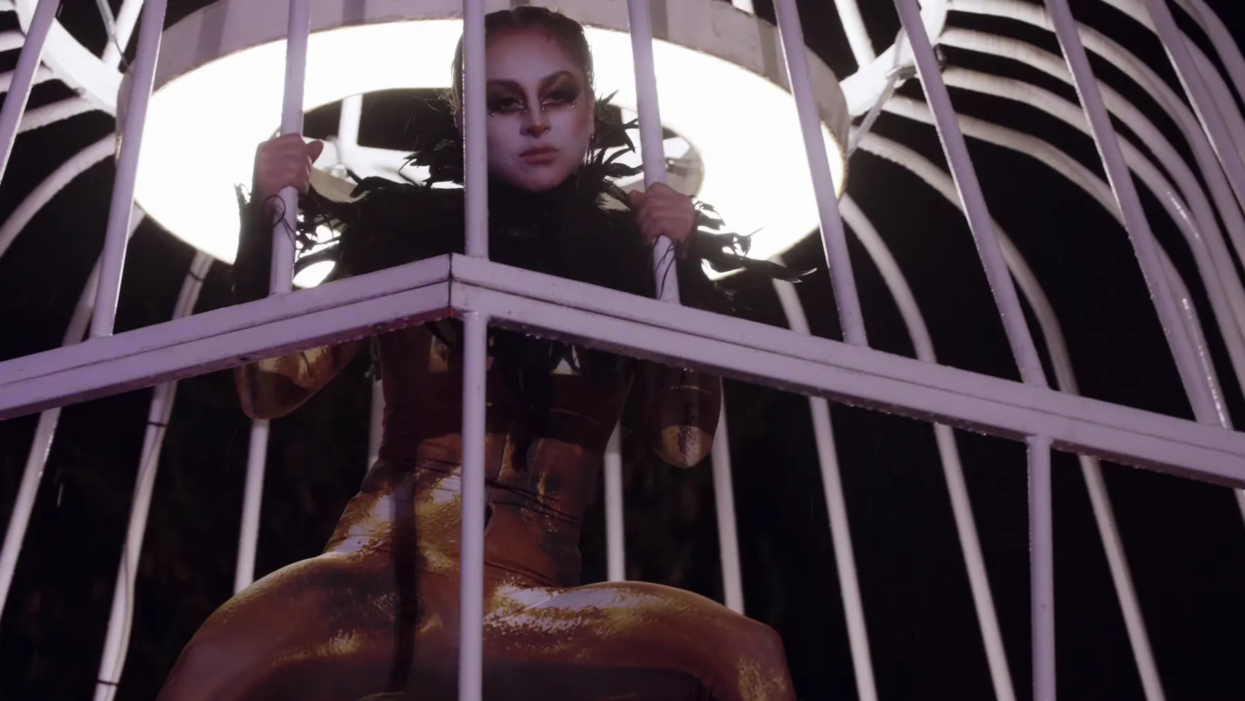 Cage Fantastique, Foto 24