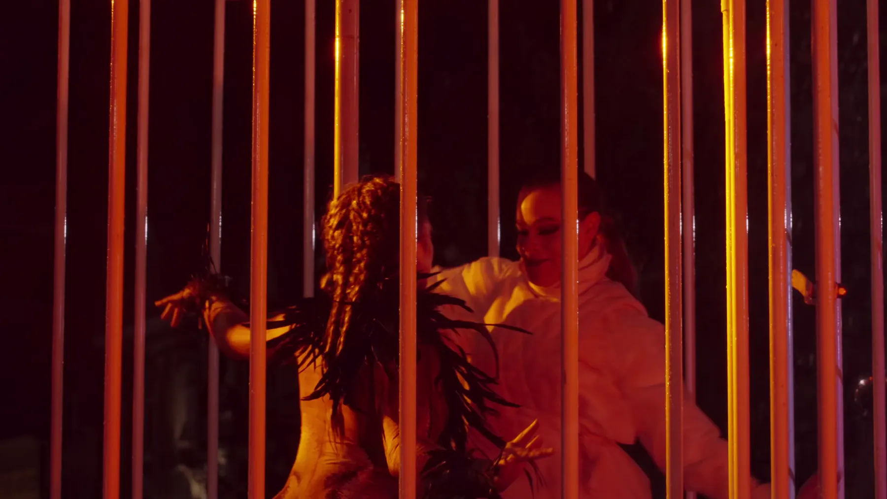 Cage Fantastique, Foto 33